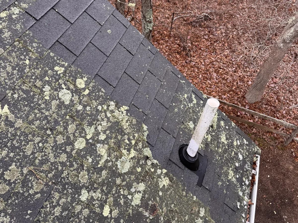 Roof cleaning treatment result by ClearView on Martha's Vineyard